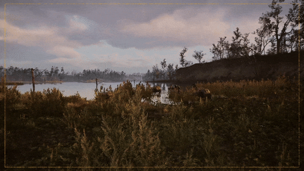 潜行者2：切尔诺贝利之心|v1.3.0|终极版|全DLC|官方中文|支持手柄|S.T.A.L.K.E.R. 2: Heart of Chornobyl插图4